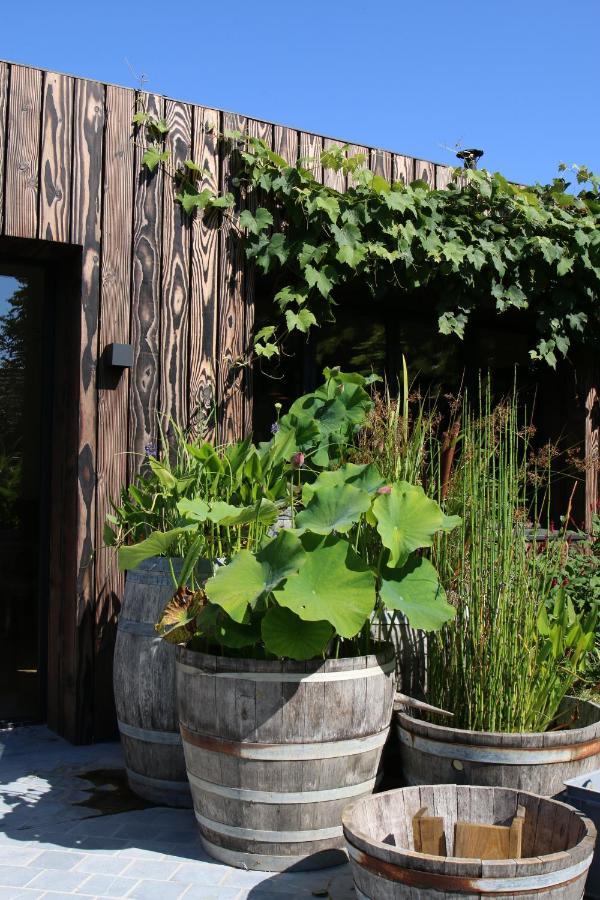 Clos Des Poulies 圣欧班堡 外观 照片
